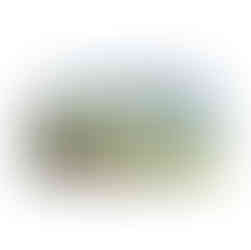 Elitetins - Derek Blois Deep Rectangular Tin