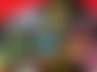 Elitetins - Vintage Record Tin Plate