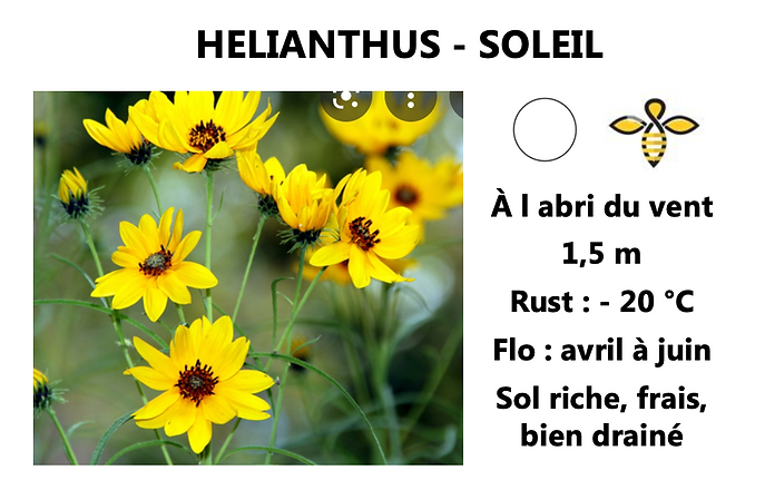 Capture d’écran 2022-03-18 à 23.27.38.png