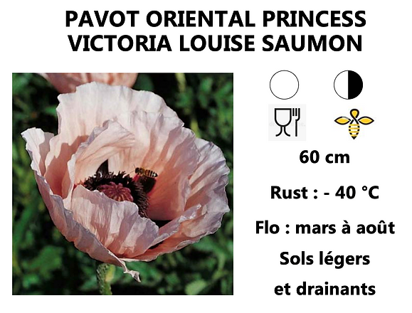 Capture d’écran 2022-03-18 à 23.43.09.png