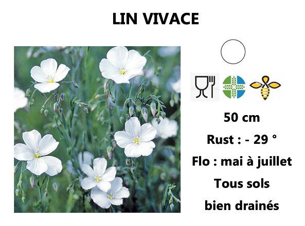 Capture d’écran 2022-03-18 à 23.40.44.png