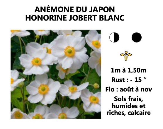 Capture d’écran 2022-03-18 à 23.08.17.png