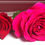 Miniatura: Bouquet de Rosas
