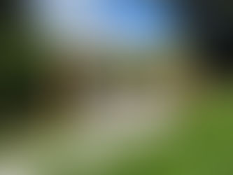 Balance in Structure: An Oak Frame Swing Seat in a Private Garden