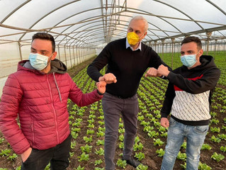 Assessore Caputo visita l' Agrovivaistica Cardillo