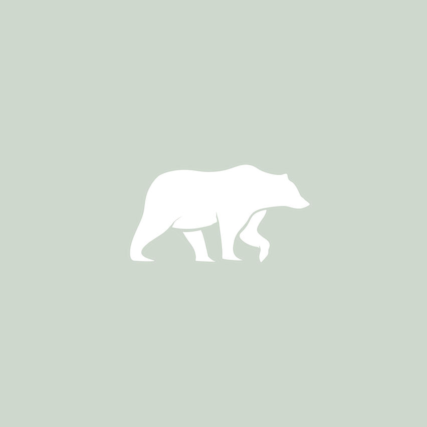 BEAR GREEN BACKGROUND.jpg