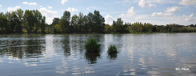 Vue sur la Garonne.