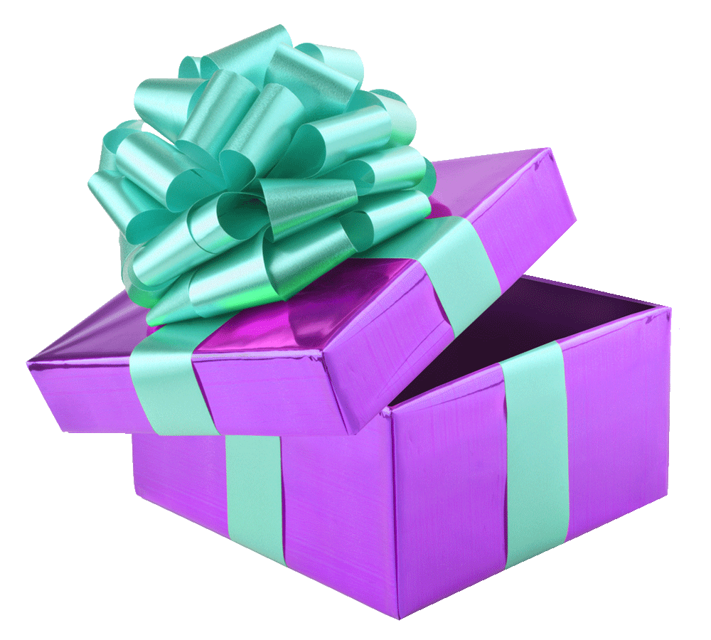 Flamingo-present.gif