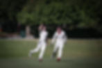 OSCC_2023_03_13_GF-81