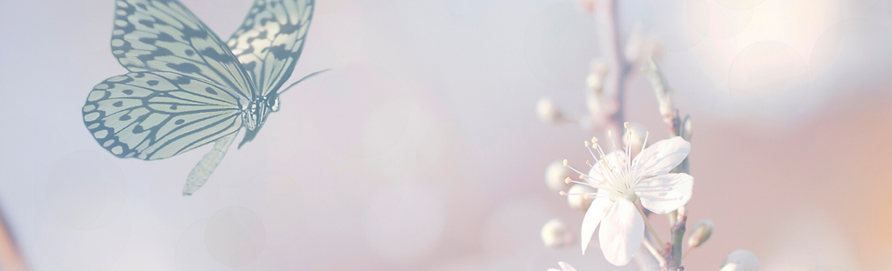 Untitled design (78).png