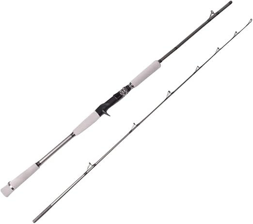 Thumbnail: Seabass Fishing Rod 80-250g Grey Design Saltwater Carbon Casting Spinning Rod…