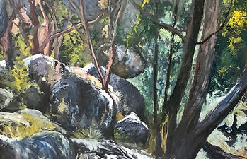 IMG_8443 (1)_edited.jpg