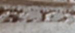 1741705390887.jpg