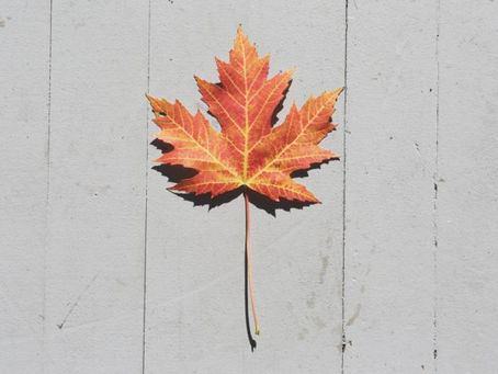 Tips for Buying a House in the Fall