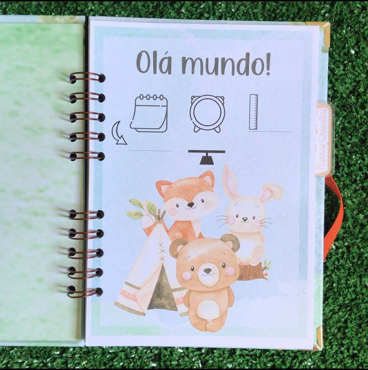 Miniatura: Caderneta de Saúde - Bosque II