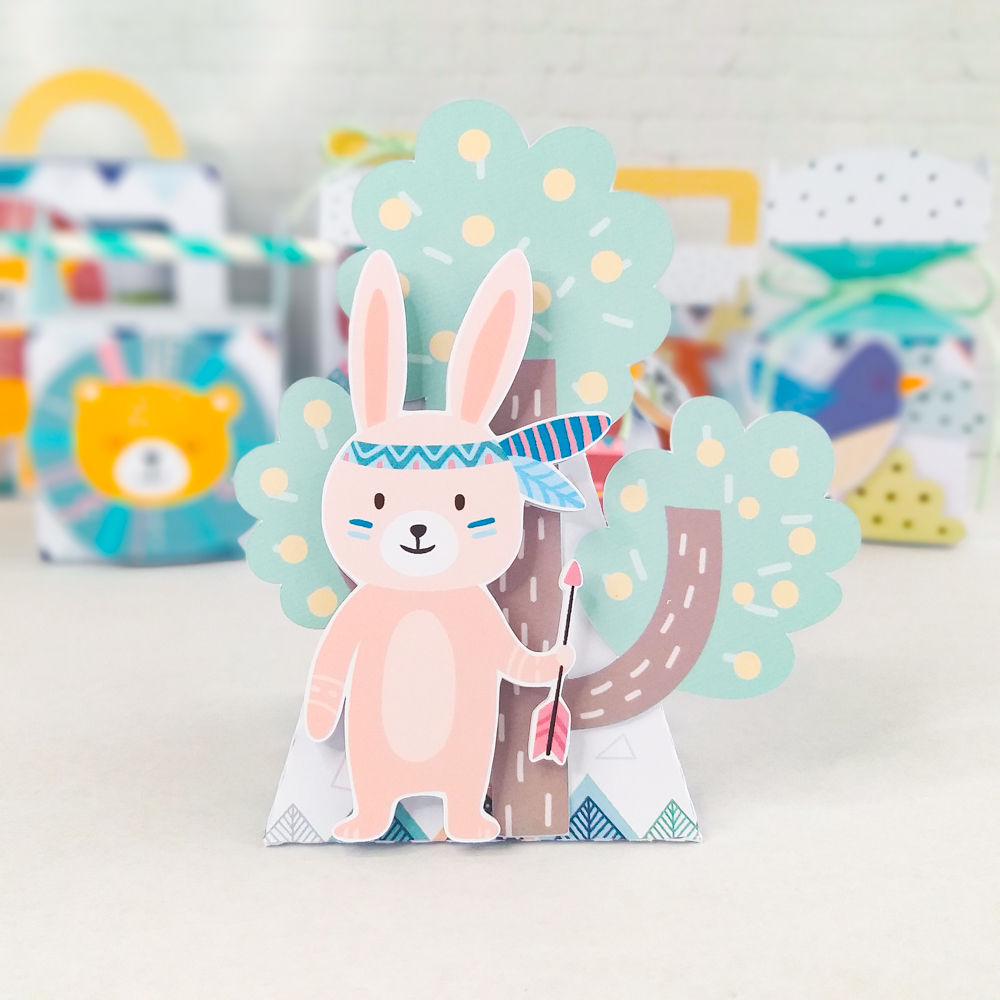 Combo 1 aninho - Animais étnicos