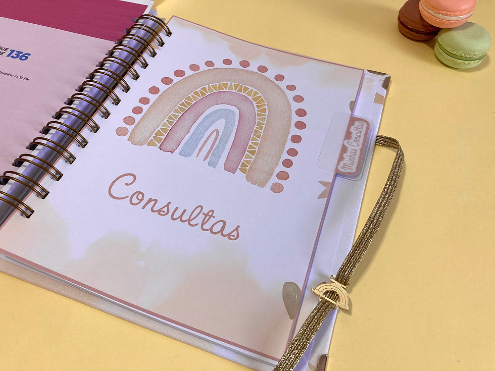 Miniatura: Caderneta de Saúde + Porta documentos A5 (pequeno) - Arco Iris Boho