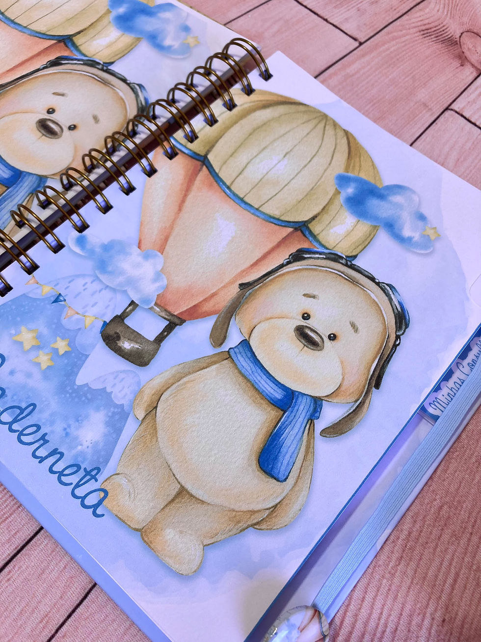 Miniatura: Caderneta de Saúde - Ursinho baloeiro amado