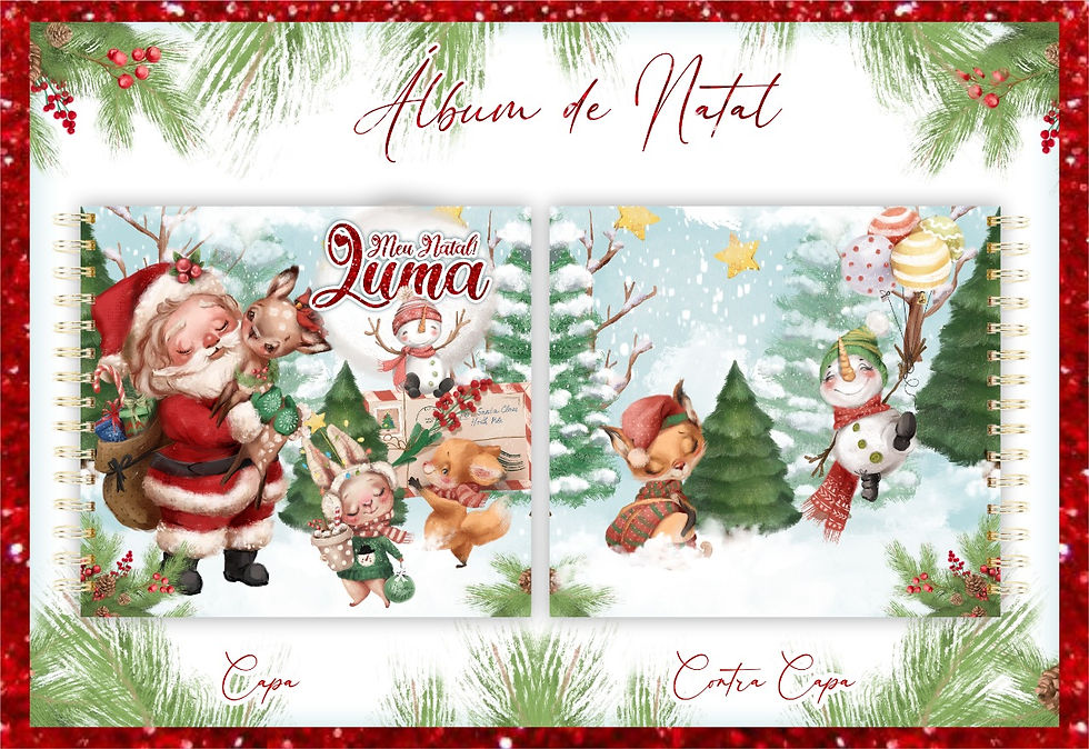 Livro meu Natal