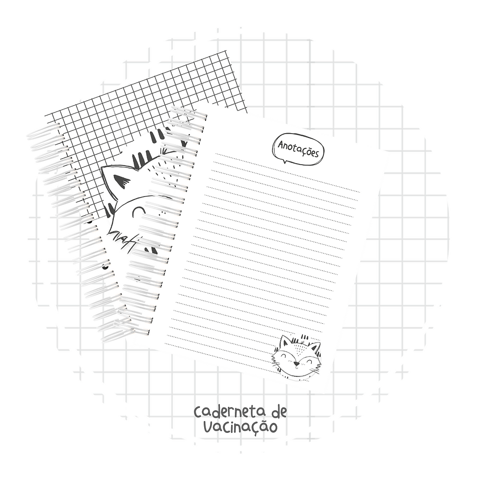 Miniatura: Caderneta de Saúde - Raposinha