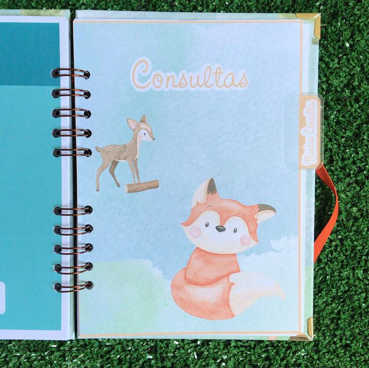 Miniatura: Caderneta de Saúde - Bosque II