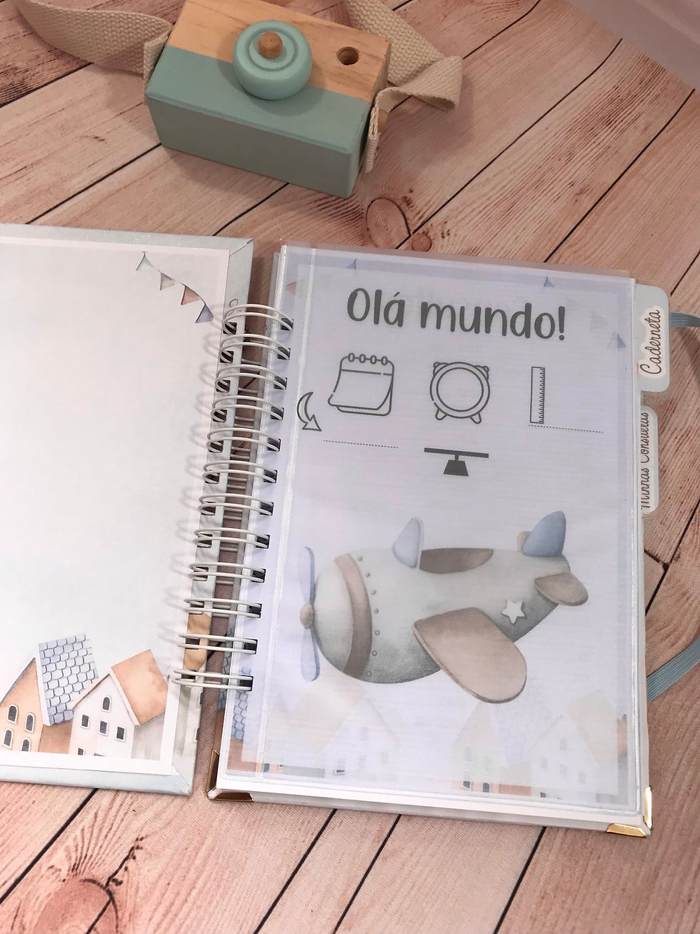 Miniatura: Caderneta de Saúde - Avião Aquarelado