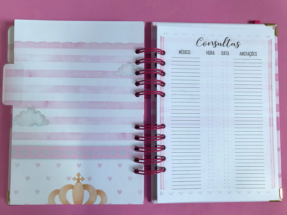 Miniatura: Caderneta de Saúde - Nossa Senhora Aparecida