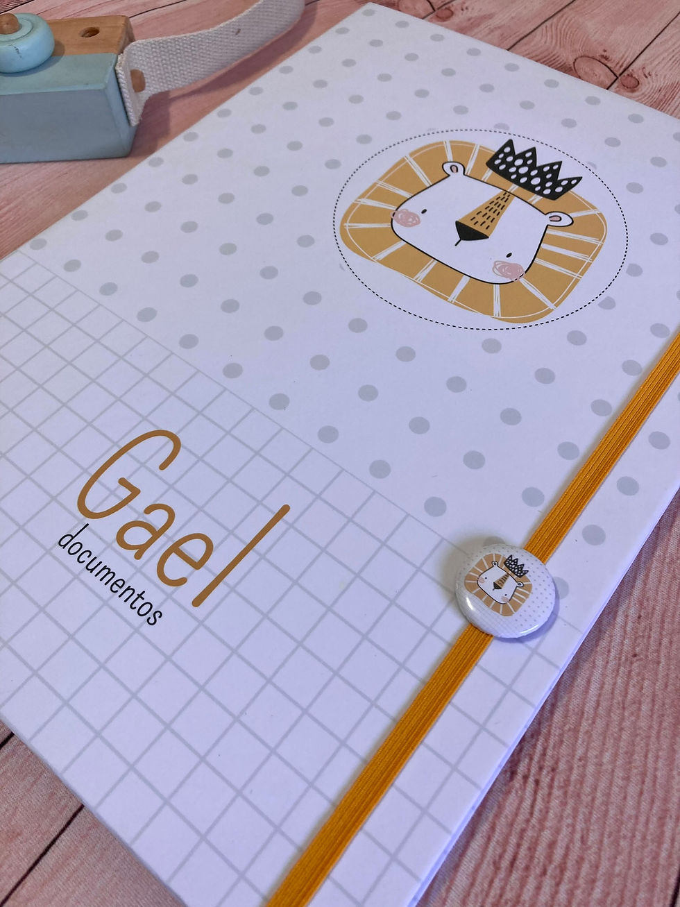 Miniatura: Pasta Saquinhos - Lion king / leão fofinho