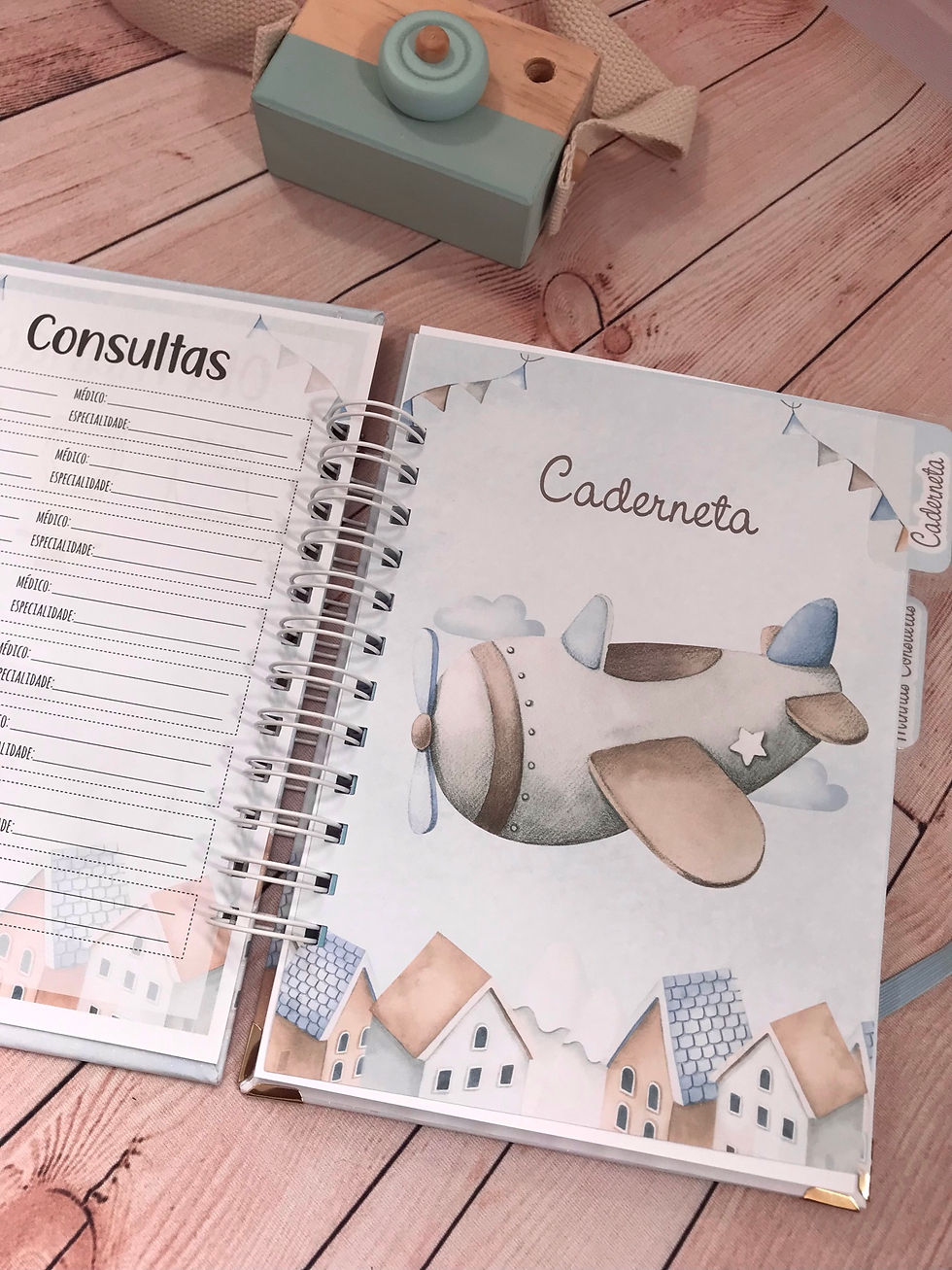 Miniatura: Caderneta de Saúde - Avião Aquarelado