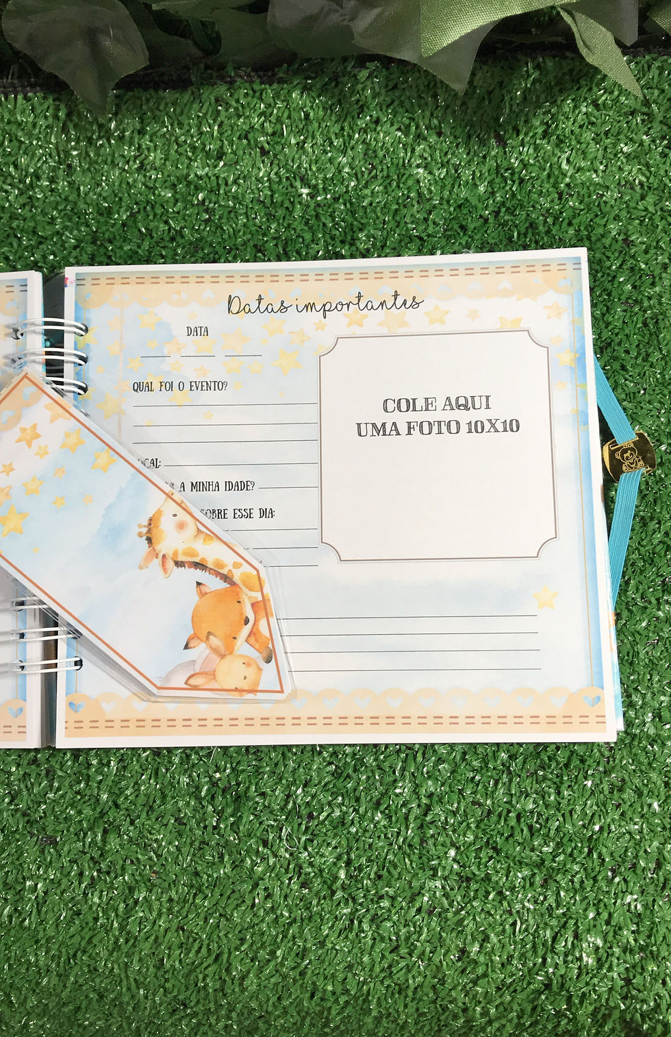 Miniatura: Livro do Bebê - Animais Baloeiros II