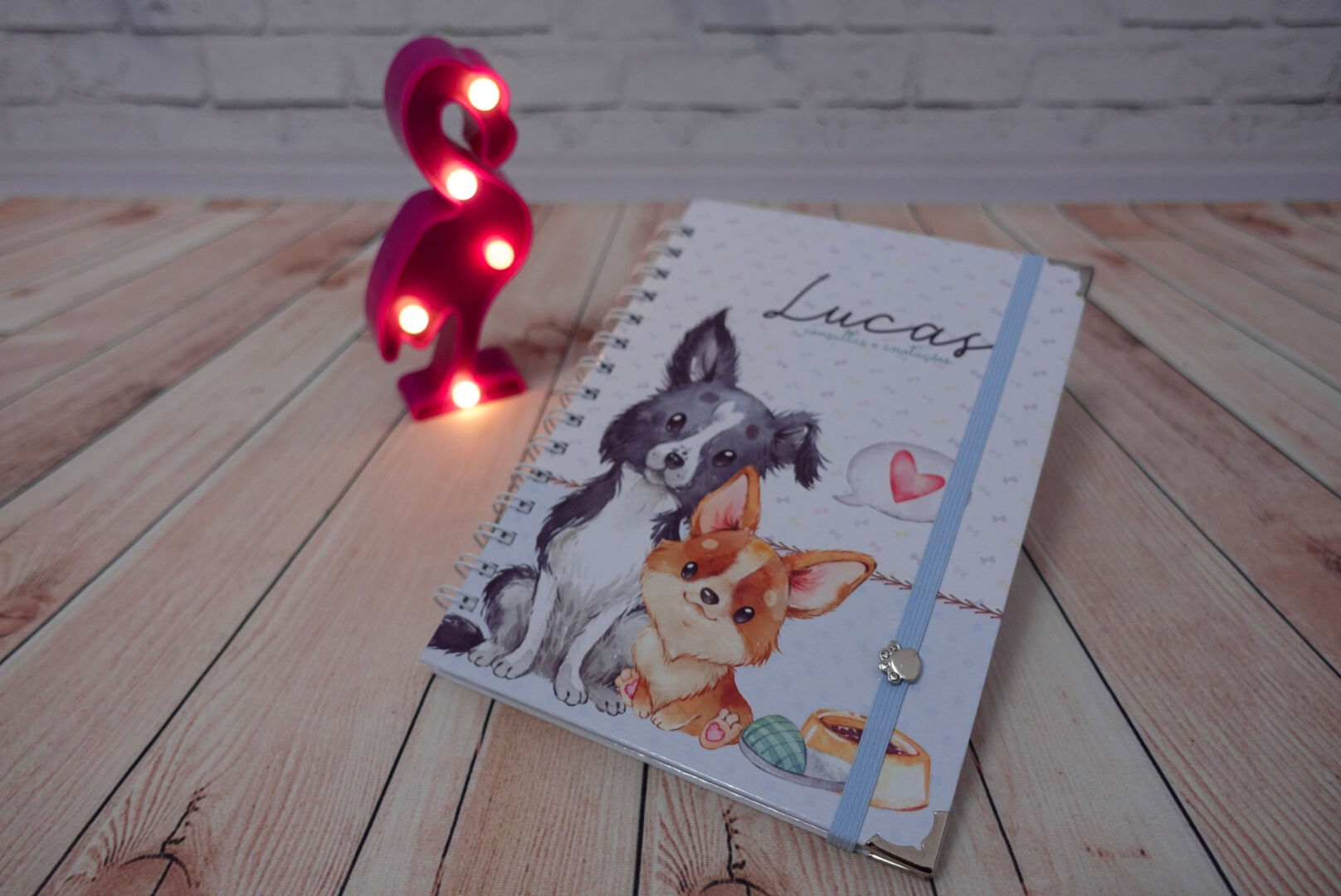 Caderno Pediátrico - Minhas consultas