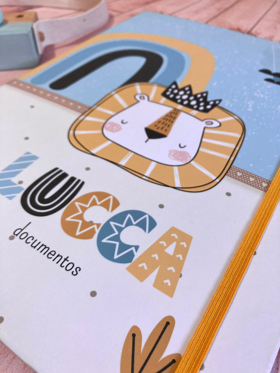 Miniatura: Pasta Saquinhos - Lion king vibes / leão fofinho