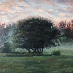 Sold. Colonial Ghost Tree