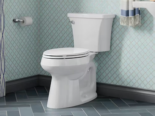 Picking the Perfect Throne: The Kohler Highline Arc Toilet