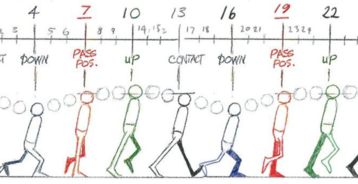 Animation excises