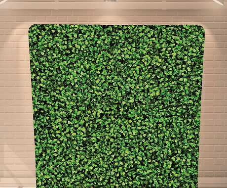 Hedge_edited.jpg
