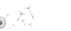Sketch seeds flying.png