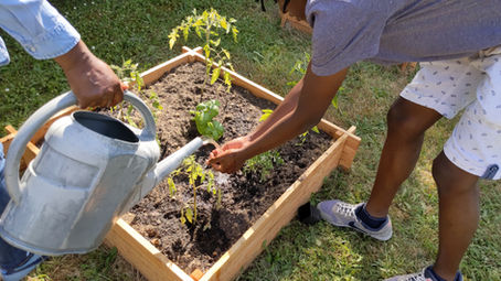 Gardening in Pistes-Solidaires, EVE Day - #ENV4env