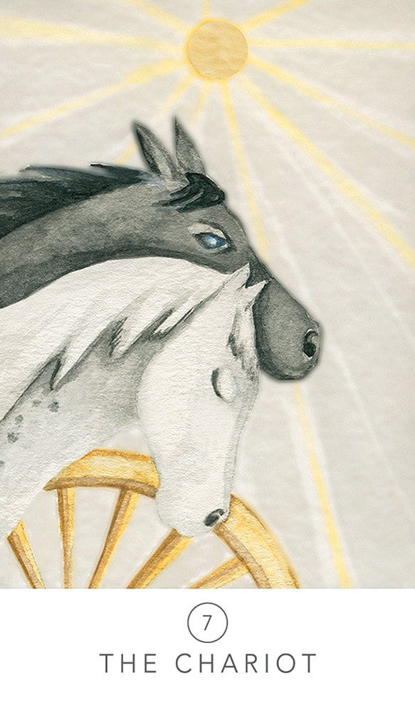 Thumbnail: White Sage - Tarot Deck | By Theresa Hutch