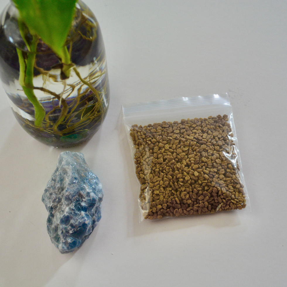 Thumbnail: Fenugreek Seed - For Fertility + Money Drawing