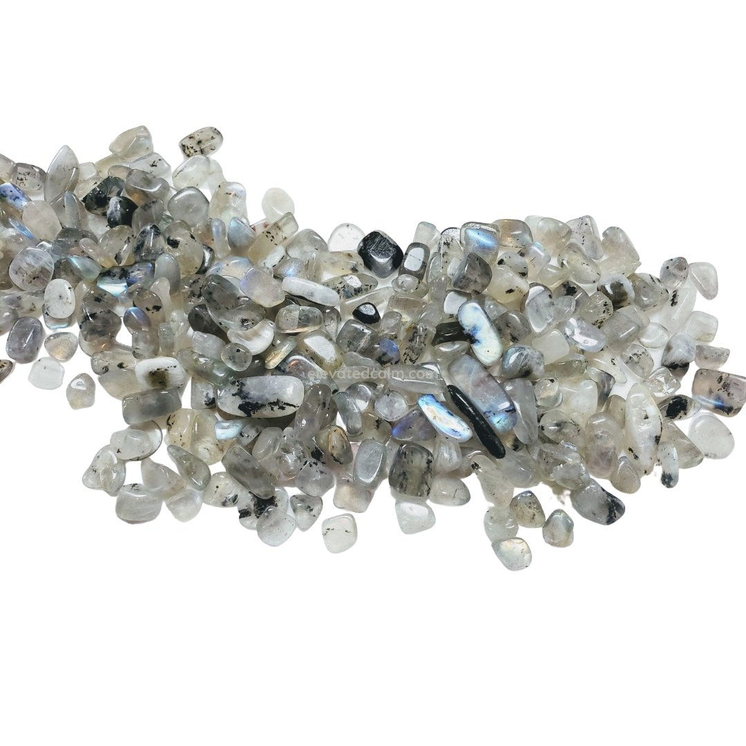 Rainbow Moonstone (White Labradorite) - Tumbled Chips