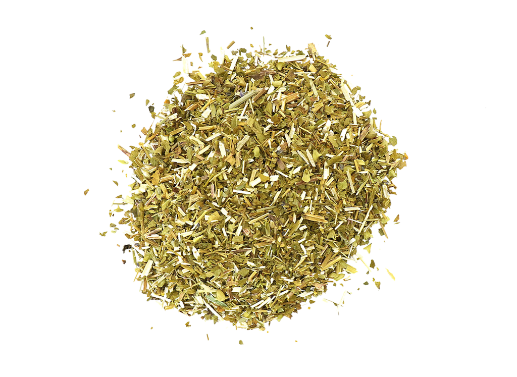 Skullcap - For Peace, Relaxation + Keeping Faith in Relationship