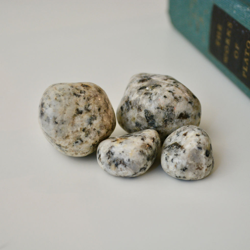 Dalmatian Jasper - Tumbled Stone