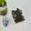 Thumbnail: Saw Palmetto Berries - For Healing, Protection + Passion