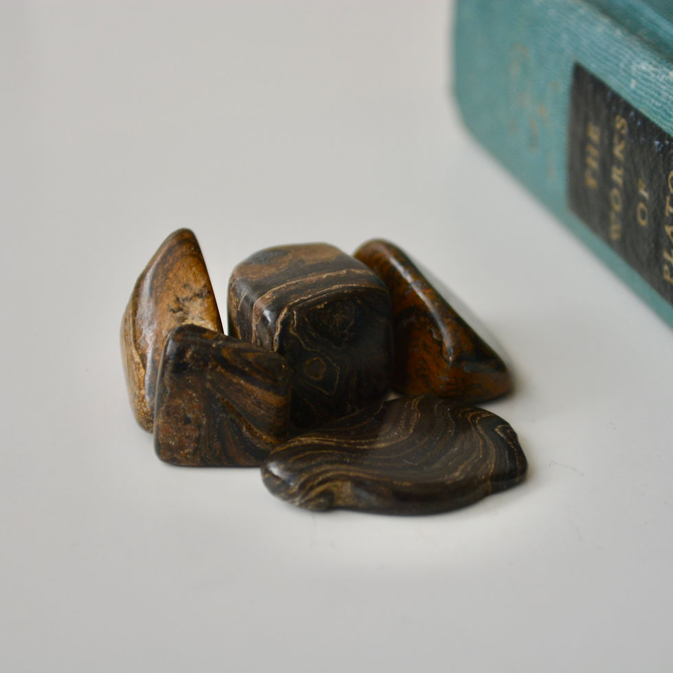 Stromatolite - Tumbled Stone