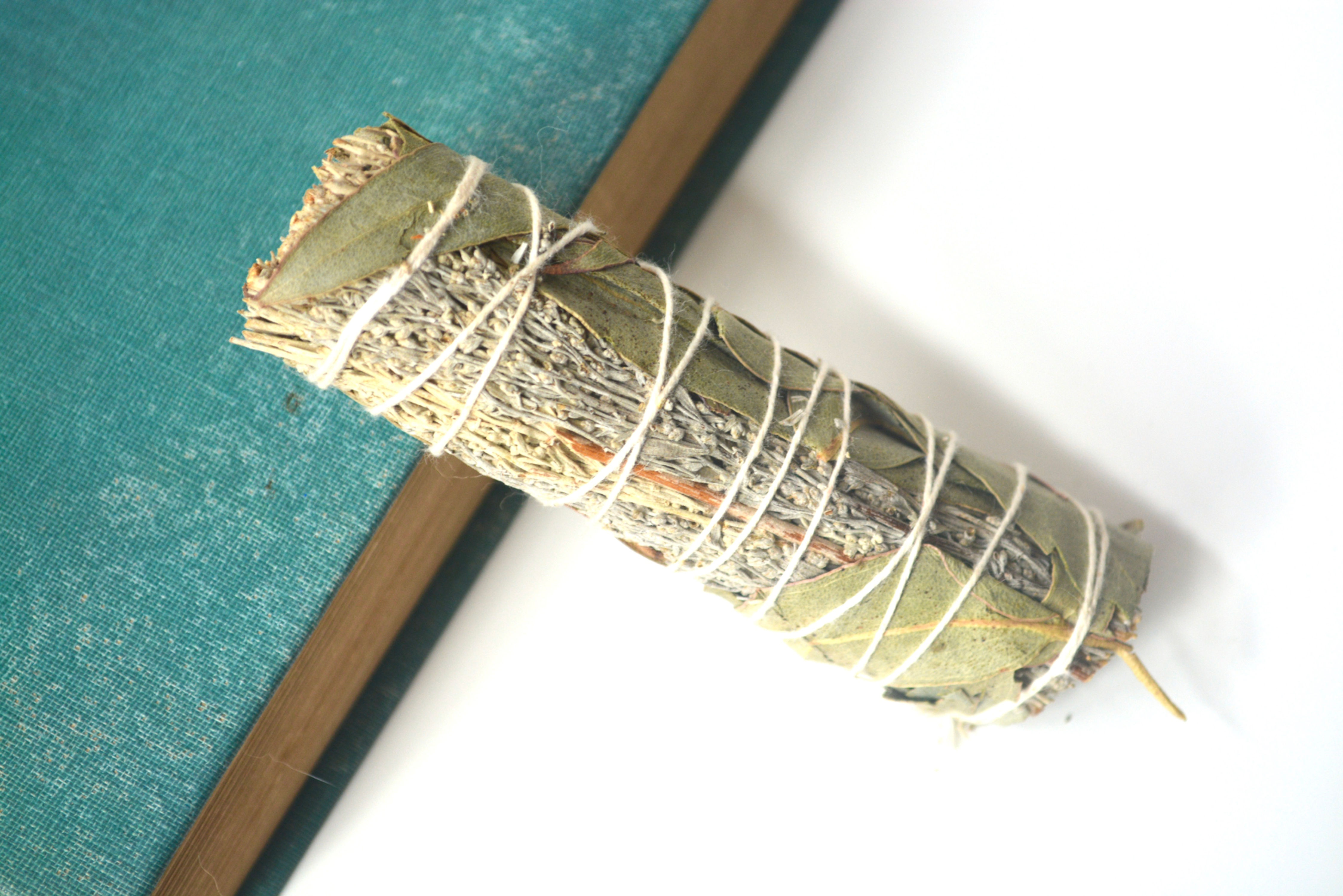 Blue Sage + Eucalyptus Bundle - Smoke Wand