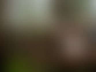 A bride and groom are walking across a bridge in between treehouses at Treehouse Point in Washington state. The bride is wearing a light pink wedding dress with a flower crown and is holding a bouquet. The groom is carrying her train. He is wearing khaki pants and a light blue blazer. They are surrounded by large trees and part of a treehouse is visible behind them.