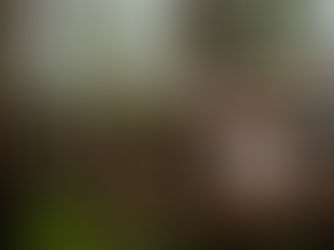 A bride and groom are walking across a bridge in between treehouses at Treehouse Point in Washington state. The bride is wearing a light pink wedding dress with a flower crown and is holding a bouquet. The groom is carrying her train. He is wearing khaki pants and a light blue blazer. They are surrounded by large trees and part of a treehouse is visible behind them.