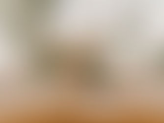 Close up photo of a wedding reception dinner table. The table is a light wood. The plates and napkins are white with silverware and simple clear water glasses next to the plates. There is a centerpiece in a white vase with assorted white flowers inside.