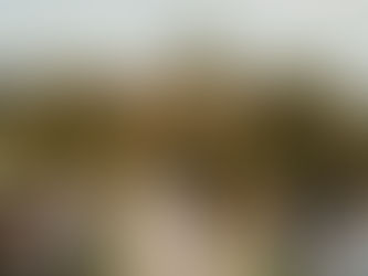 Photo of an outdoor wedding ceremony in progress with bride and groom holding hands in front of an officiant and their guests sitting in chairs. They are framed by an arbor covered in pink, yellow, and orange flowers. There are trees and grass in the background.